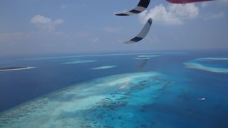 お金持ちの人来てー。庶民には味わえないような