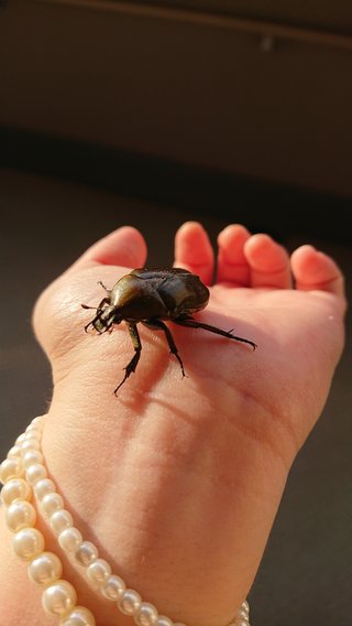 &#x{11:F8E2};なんでもいｰから&#x{11:F8E2};