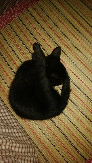 &#x{11:F8E2};なんでもいｰから&#x{11:F8E2};