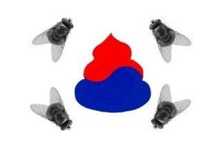 韓国が「軍事転用物資」を北朝鮮へ横流しか　大量発注のフッ素物品が行方不明に