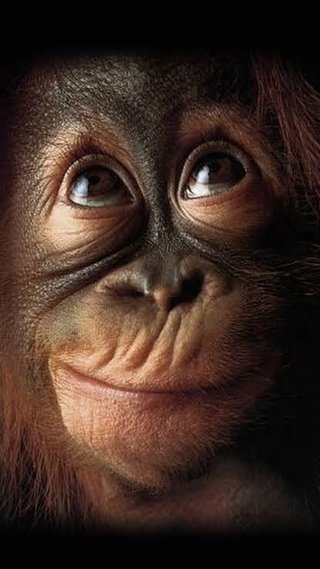 【FNSうたの夏まつり】7月24日19:00～23:28