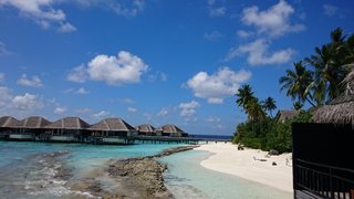 お金持ちの人来てー。庶民には味わえないような