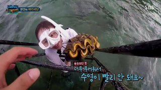 韓国人女優をタイ国立公園が刑事告訴、番組内で希少な貝を採取