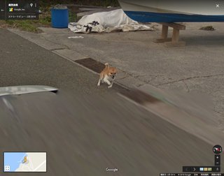 グーグルアースの不思議な場所やもの