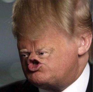 オールスター【メルカリ】チャンネル名鑑