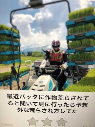 オールスター【メルカリ】チャンネル名鑑