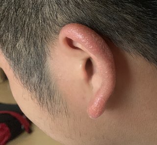 閲覧注意。これなんだろう。