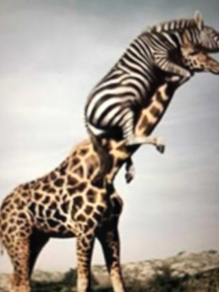 オールスター【メルカリ】チャンネル名鑑