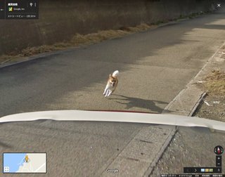 グーグルアースの不思議な場所やもの