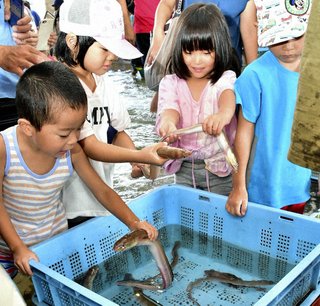 【兵庫】アナゴつかみ取りに子どもの歓声　明石