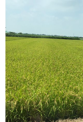 &#x{11:F8E2};なんでもいｰから&#x{11:F8E2};