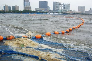 【閲覧注意】お台場の海にうんこの泡が大量発生・・・これが東京の海や