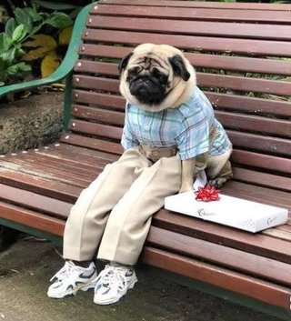 オールスター【メルカリ】チャンネル名鑑