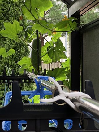 &#x{11:F9E6};&#x{11:F9E6};ガーデニング好きな方【情報交換】&#x{11:F9E6};&#x{11:F9E6};