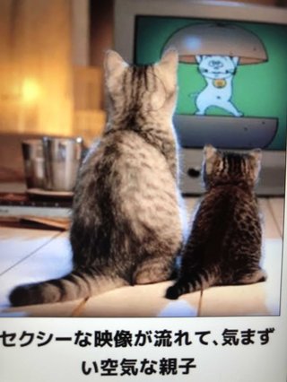 オールスター【メルカリ】チャンネル名鑑