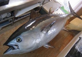 【ＹＯＳＨＩＫＩ】ファンとの触れ合いで右手首靱帯悪化