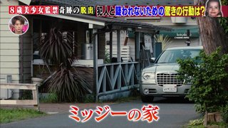 「ワールド極限ミステリー」TBS系