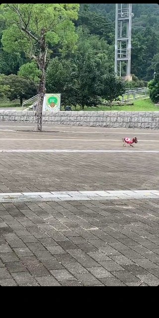 インスタあすか