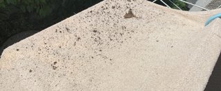 ベランダ、上から？どこからが土が降ってくる