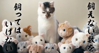 あなたの好きなＣＭは？