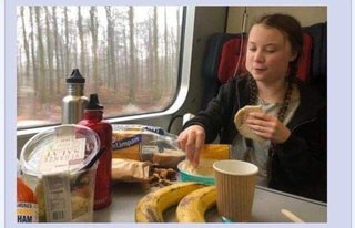 16歳の環境活動家 グレタ・トゥーンベリさん、国会で怒りの演説【国連機構サミット】