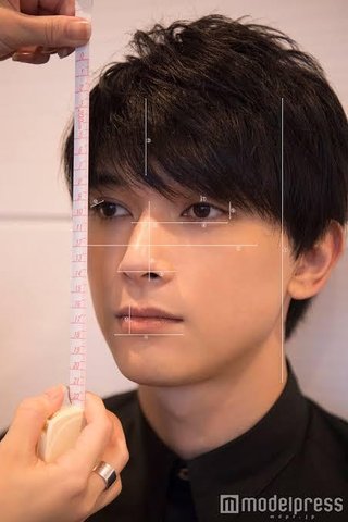 これが吉沢亮の顔の計測結果らしい