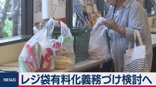 コンビニ業界からは不満も　レジ袋有料化来年４月試行へ