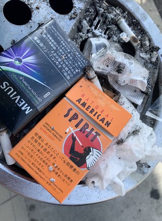 最後の願い　ネコにゃんたすけてpart2