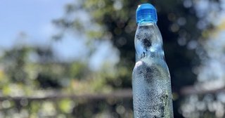 ラムネの瓶にビー玉の意外な理由　中身はサイダーと同じ