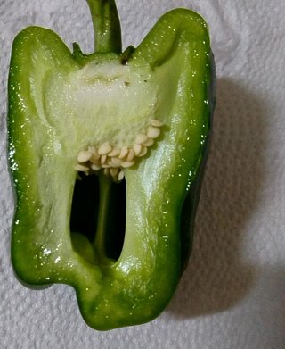 &#x{11:F8E2};なんでもいｰから&#x{11:F8E2};