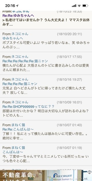 最後の願い　ネコにゃんたすけてpart2