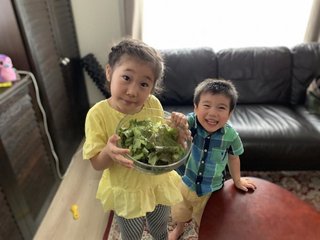 2歳と5歳の子と一緒にできる　ちぎって簡単レタスサラダ〈AERA〉