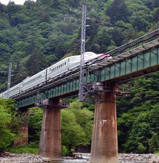 【秋田】こまちがクマと衝突　秋田市河辺の奥羽線