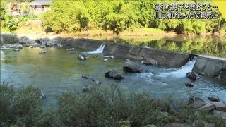 溺れた息子を救おうと…　父親が川に飛び込み死亡