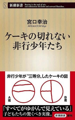 なぜ非行少年たちは“ケーキを3等分出来ない”のか―　―医療少年院で受けた衝撃