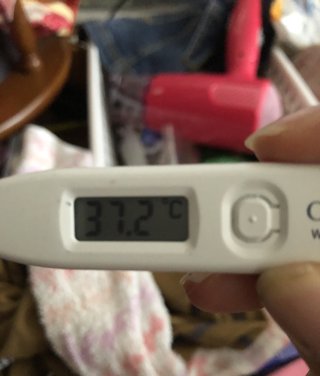 最後の願い　ネコにゃんたすけてpart2