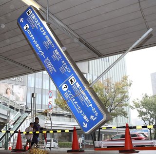 避難住民　ペットの受け入れ先を探す…「断られました。泣きそうです」台風１９号