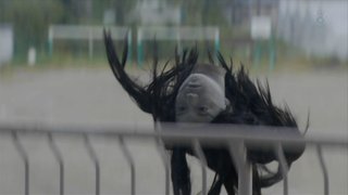 【画像】ほん怖 SP