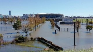 電通局長、Ｗ杯警備の大学生に暴行容疑…注意され殴る