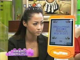 この当時の沢尻エリカみたいな眉毛