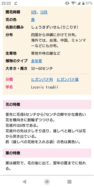 【総合】沖縄【作ったさ～】