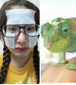 あいのり でっぱりん