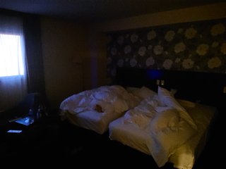 不倫でホテル泊まってるのだけどこの写真の青い光なんですか？