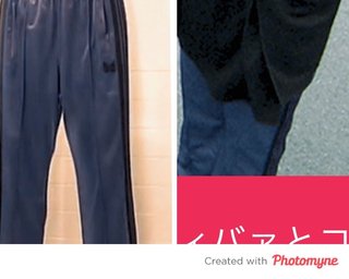 TV大阪【やすとものどこいこ！？】