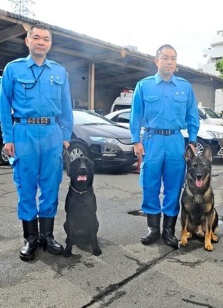 【速報】行方不明の少女、匂いで無事発見 	