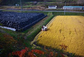 2019年　放射能汚染調査結果がヤバイ