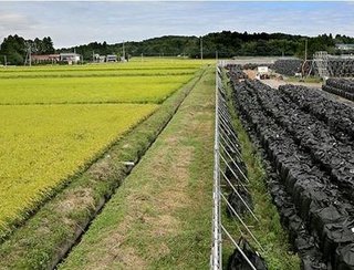 2019年　放射能汚染調査結果がヤバイ