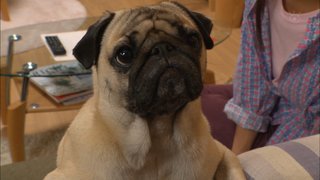 TBS【G線上のあなたと私】火曜 22時