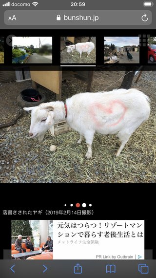 《不適切飼育を告発》「天才！志村どうぶつ園」の白井家　“飼い犬に殺処分危機”“ヤギに落書き”