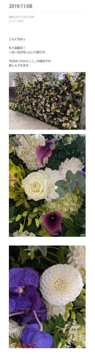 小林麻耶【麻耶☆道】